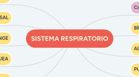 Mind Map: SISTEMA RESPIRATORIO