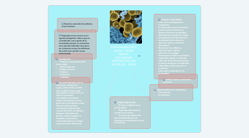 Mind Map: Enfermedades por S. aureus - LAURA MACEA - ESTUDIANTE ADMINISTRACION EN SALUD - UNAD