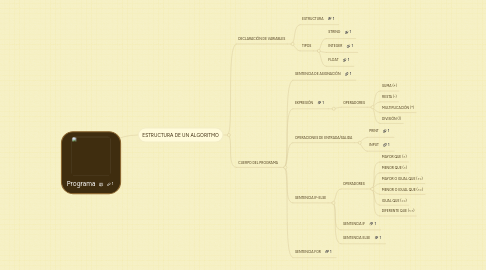 Mind Map: Programa