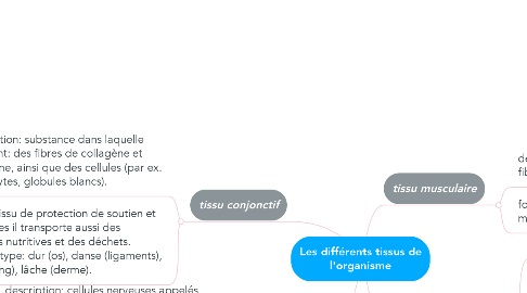 Mind Map: Les différents tissus de l'organisme