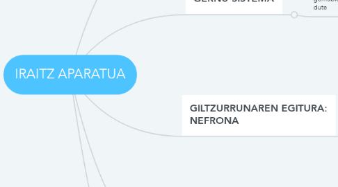 Mind Map: IRAITZ APARATUA