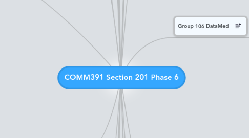 Mind Map: COMM391 Section 201 Phase 6