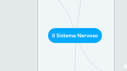 Mind Map: Il Sistema Nervoso