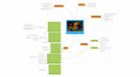 Mind Map: Literatura Barroca