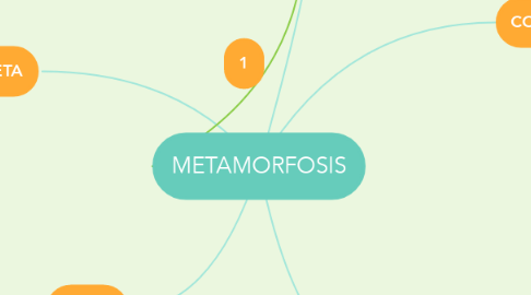 Mind Map: METAMORFOSIS