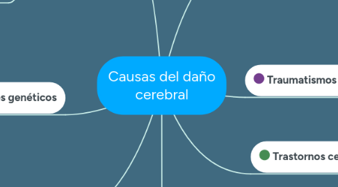 Mind Map: Causas del daño cerebral