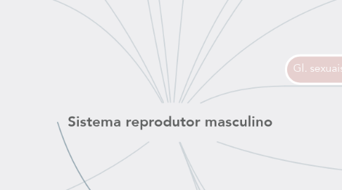 Mind Map: Sistema reprodutor masculino