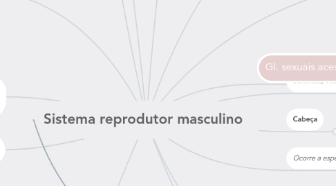 Mind Map: Sistema reprodutor masculino