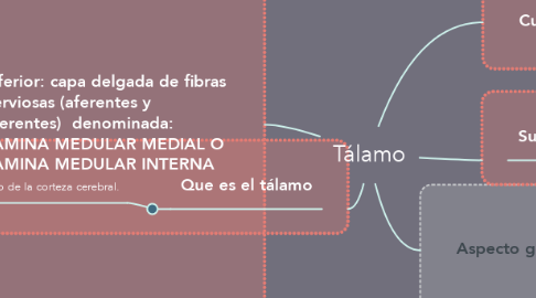 Mind Map: Tálamo