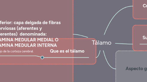 Mind Map: Tálamo