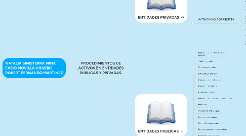 Mind Map: PROCEDIMIENTOS DE ACTIVOS EN ENTIDADES PUBLICAS Y PRIVADAS.