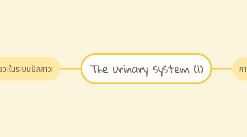 Mind Map: The urinary system (1)