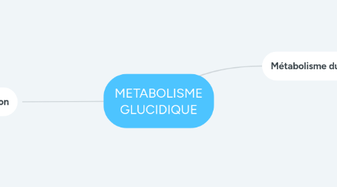 Mind Map: METABOLISME GLUCIDIQUE