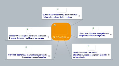 Mind Map: EL CONEJO