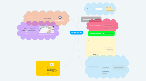 Mind Map: AUTORIZACIONES