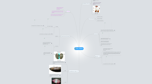 Mind Map: Hour 2 Bivalves