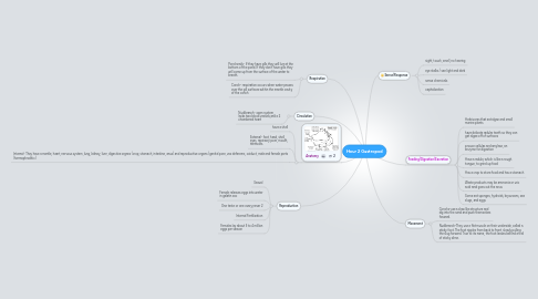 Mind Map: Hour 2 Gastropod