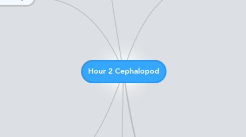 Mind Map: Hour 2 Cephalopod