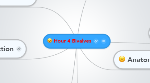 Mind Map: Hour 4 Bivalves