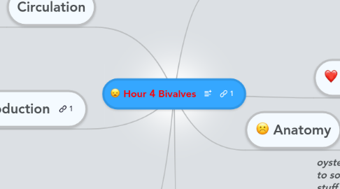 Mind Map: Hour 4 Bivalves