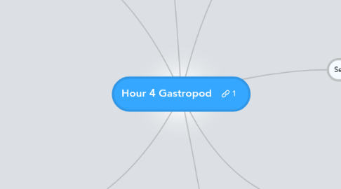 Mind Map: Hour 4 Gastropod