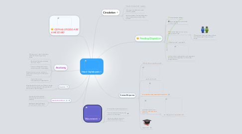 Mind Map: Hour 6 Cephalopods