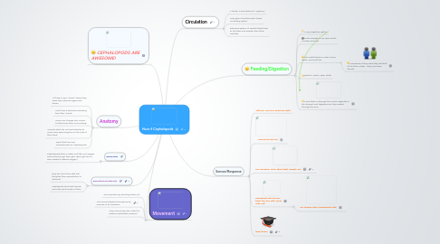 Mind Map: Hour 6 Cephalopods