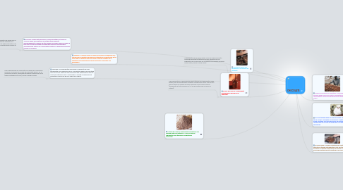 Mind Map: CHOCOLATE