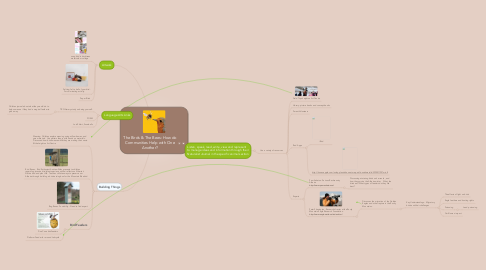 Mind Map: The Birds & The Bees: How do Communities Help with One Another?