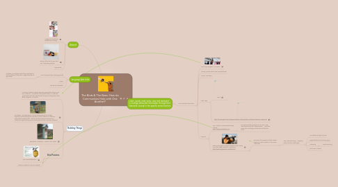 Mind Map: The Birds & The Bees: How do Communities Help with One Another?