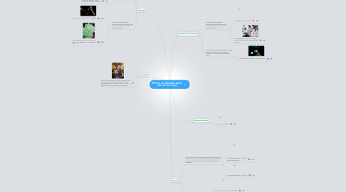 Mind Map: What are you passionate about? [cash, no tax receipt]