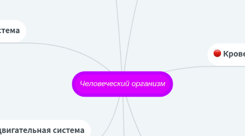 Mind Map: Человеческий организм