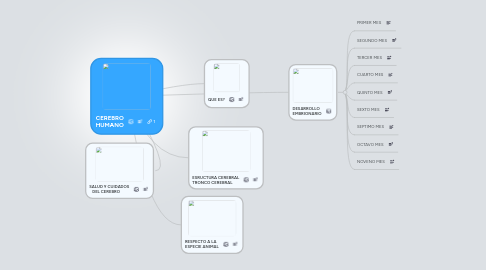 Mind Map: CEREBRO HUMANO