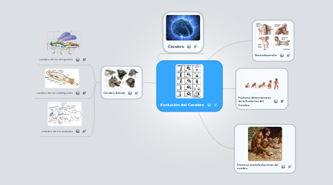 Mind Map: Evolución del Cerebro