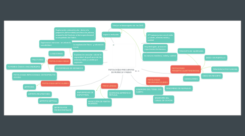 Mind Map: PATOLOGÍAS FRECUENTES DE MUÑECA Y MANO