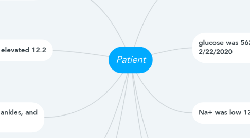 Mind Map: Patient