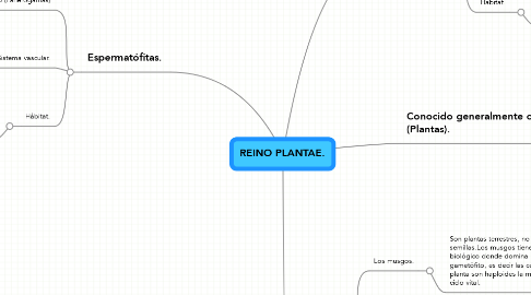 Mind Map: REINO PLANTAE.