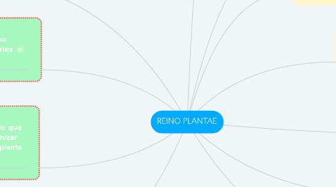 Mind Map: REINO PLANTAE