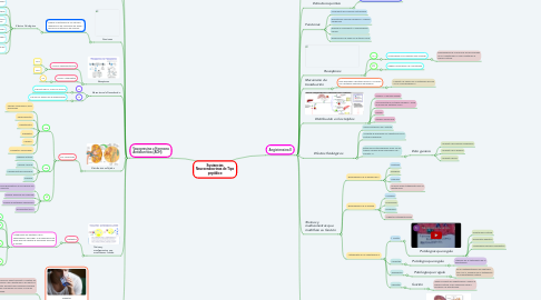 Mind Map: Sustancias Neuroendocrinas de Tipo peptídico