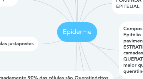 Mind Map: Epiderme