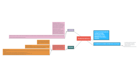 Mind Map: CITOESQUELETO
