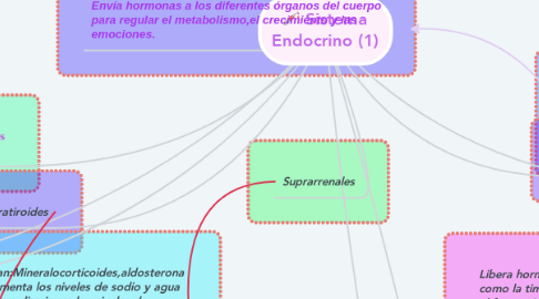 Mind Map: Sistema Endocrino (1)
