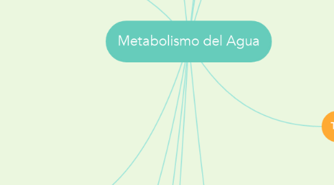 Mind Map: Metabolismo del Agua