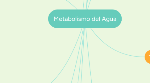 Mind Map: Metabolismo del Agua