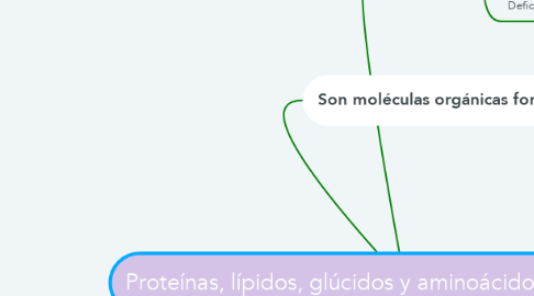 Mind Map: Proteínas, lípidos, glúcidos y aminoácidos y sus excesos