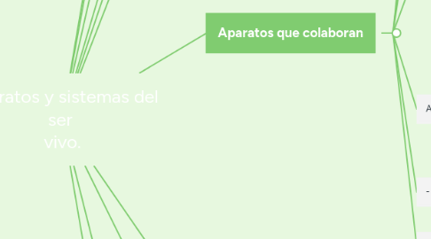 Mind Map: Aparatos y sistemas del ser vivo.