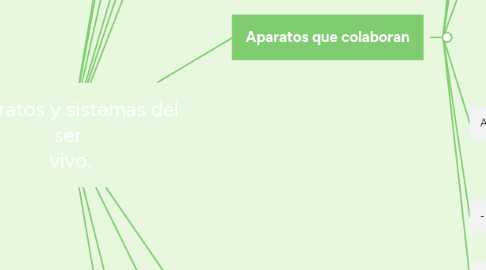 Mind Map: Aparatos y sistemas del ser  vivo.