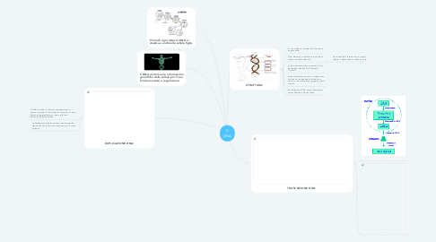 Mind Map: IL DNA