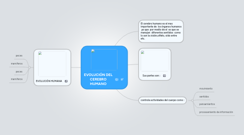 Mind Map: EVOLUCIÓN DEL CEREBRO HUMANO