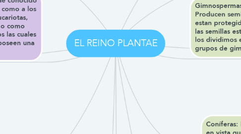 Mind Map: EL REINO PLANTAE
